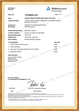 EVA MAT-2024 BAP SCCP TCCP TDCP  FLAME CERTIFICATES